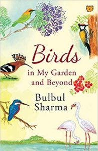 Birds in my Garden and Beyond