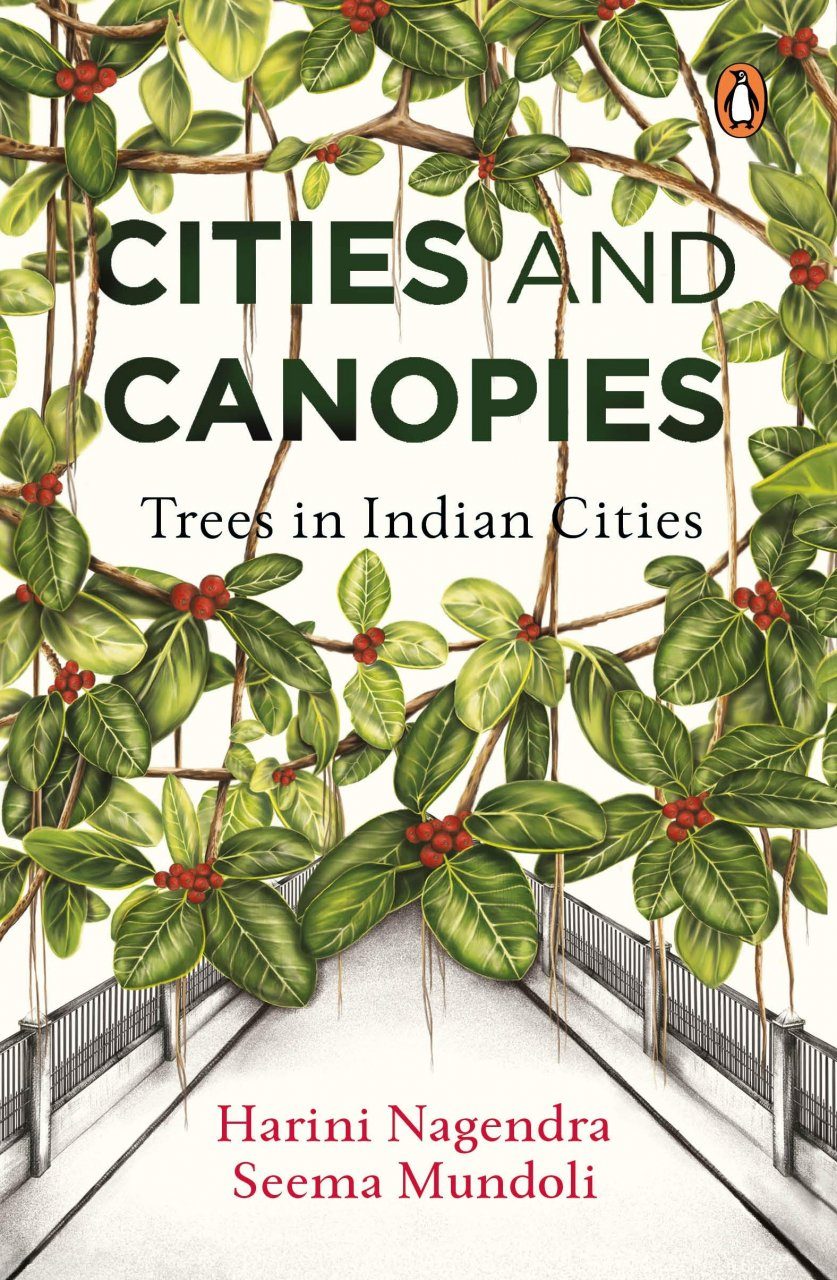 Cities and Canopies