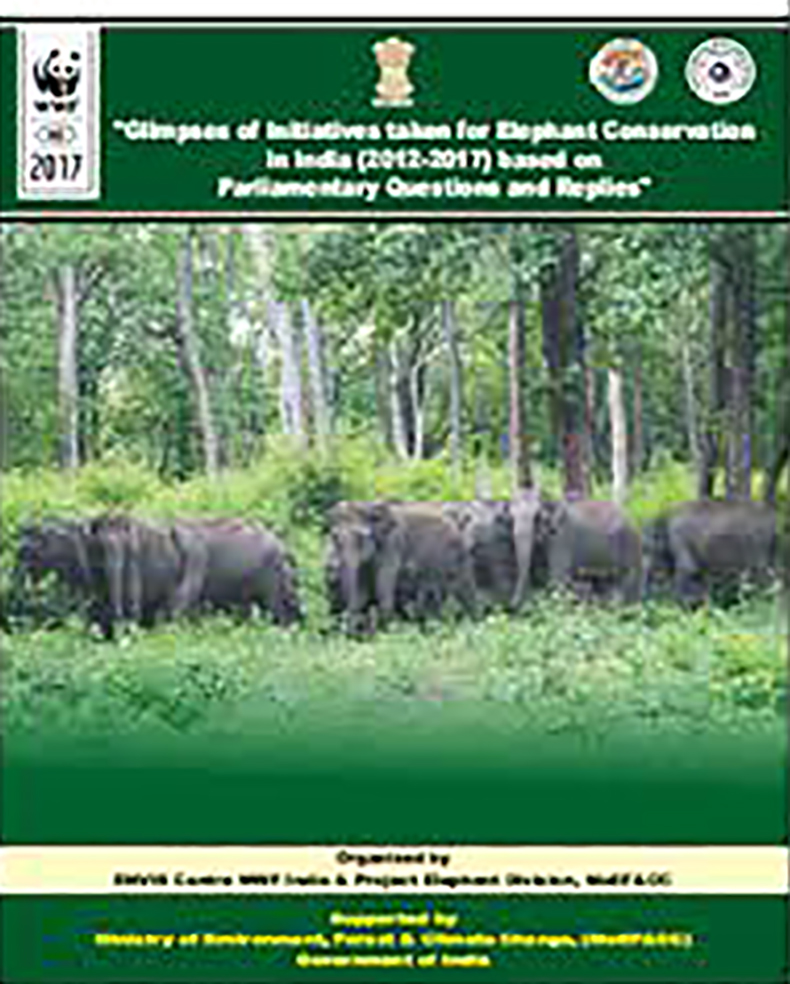 elephant-cover