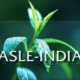 ASLE logo