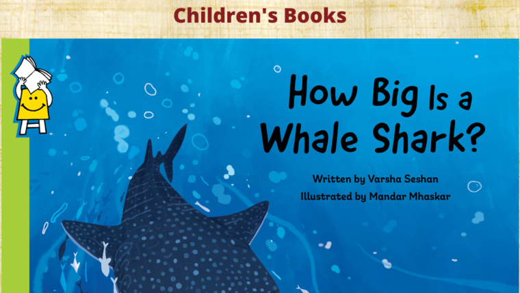 How big is whale shark feature