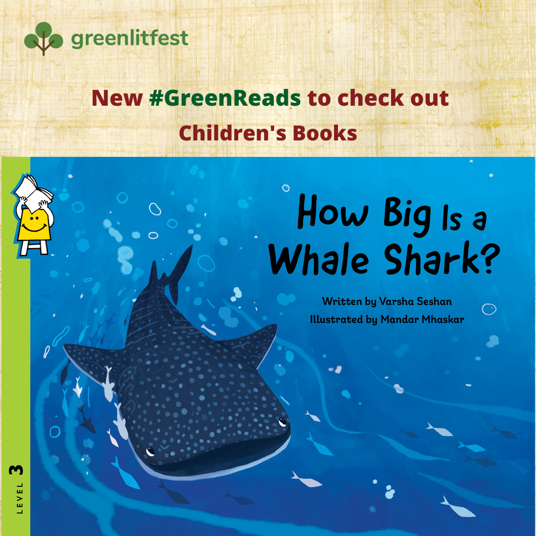 How Big is a Whale Shark? – Greenlitfest